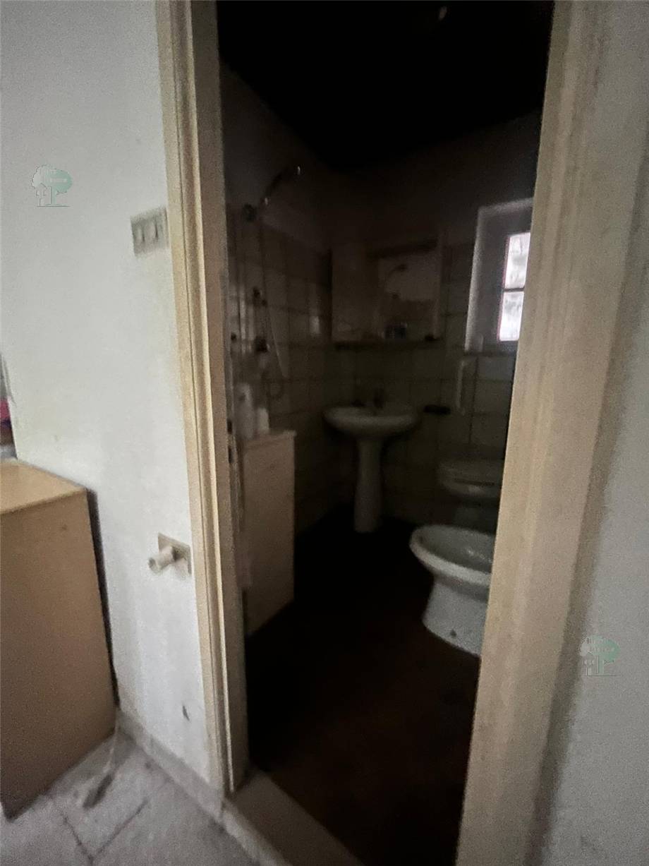 For sale Apartment Lucca Vinchiana #253 n.7