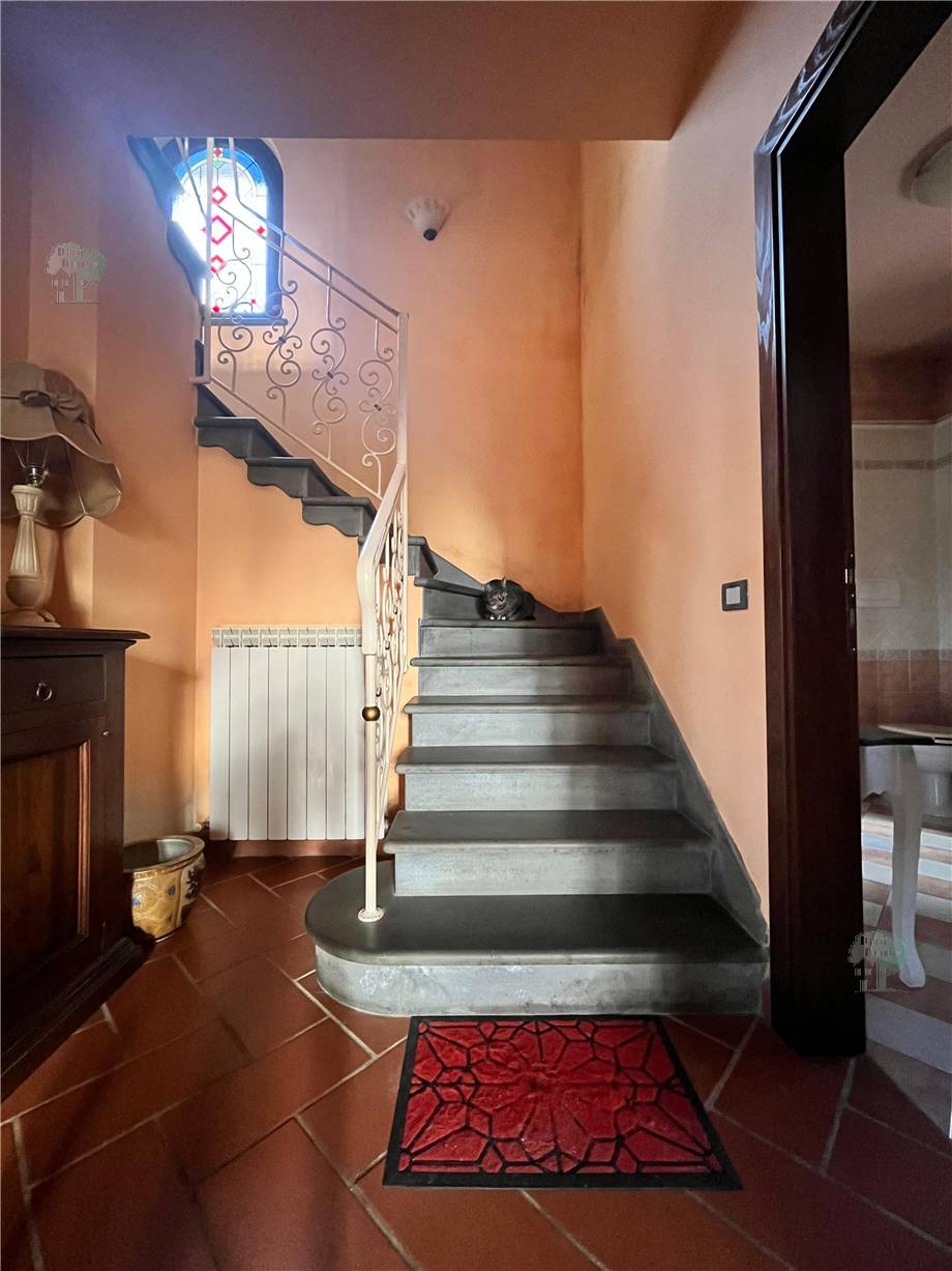 Vendita Villa indipendente Castelfranco di Sotto  #265 n.6