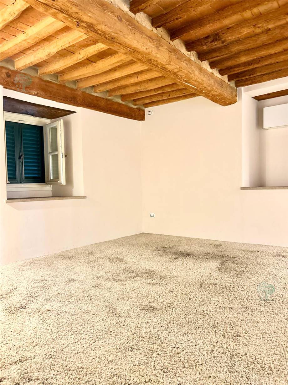 To rent Business premises Lucca  #289 n.6