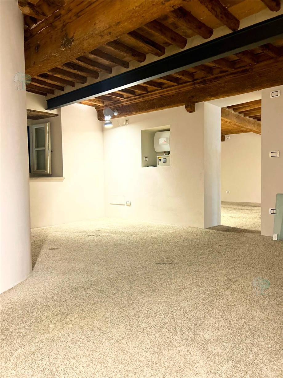 To rent Business premises Lucca  #289 n.7