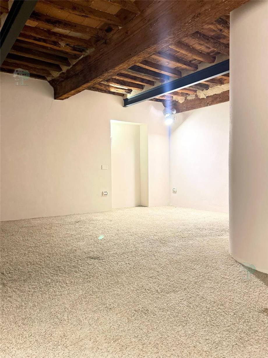 To rent Business premises Lucca  #289 n.8