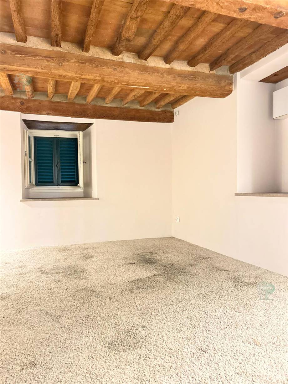 To rent Business premises Lucca  #289 n.9
