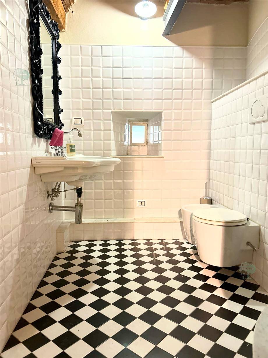 To rent Business premises Lucca  #289 n.10