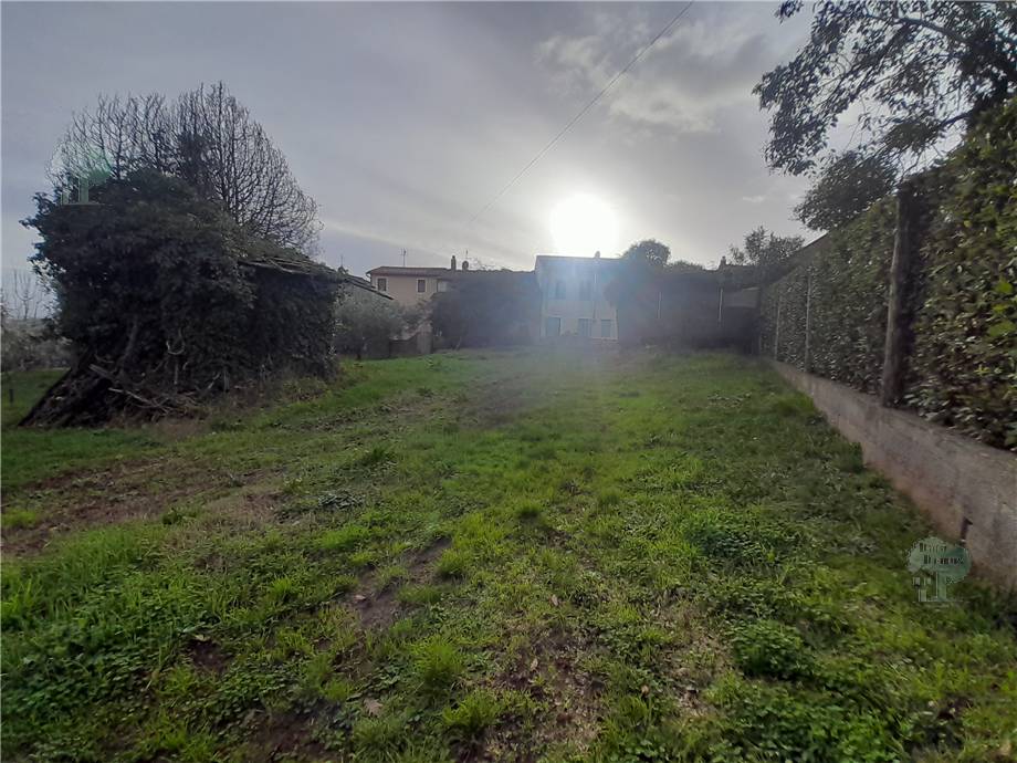 Vendita Rustico/Casa di campagna Capannori #294 n.8