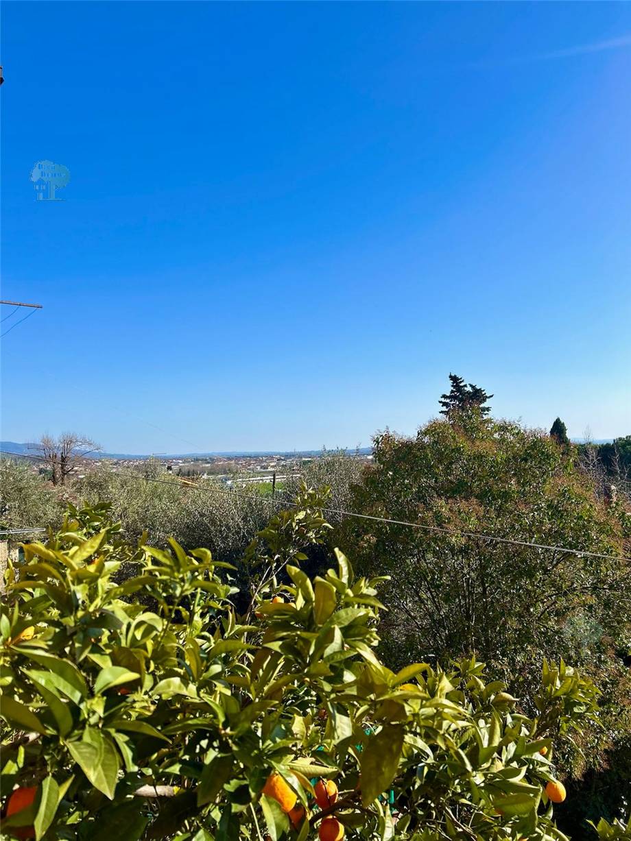Vendita Villa bifamiliare Pistoia  #310 n.10