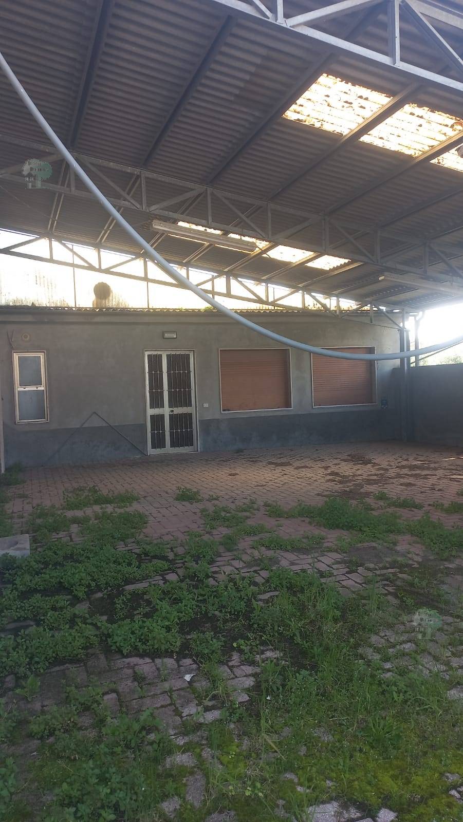 For sale Warehouse Capannori  #319 n.8