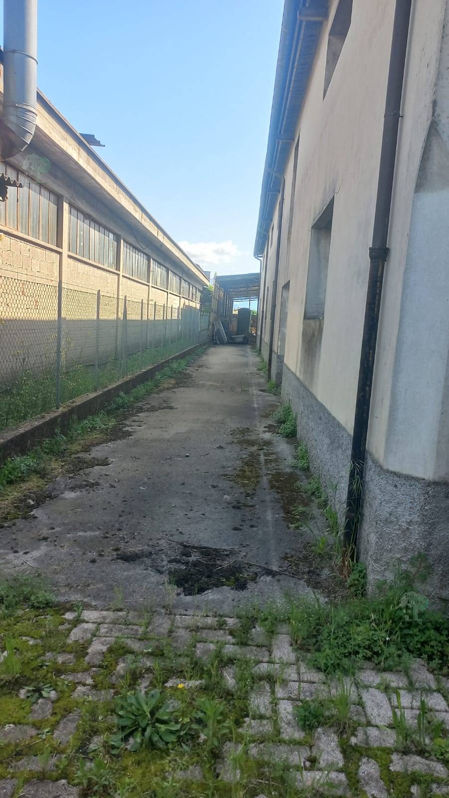 For sale Warehouse Capannori  #319 n.9