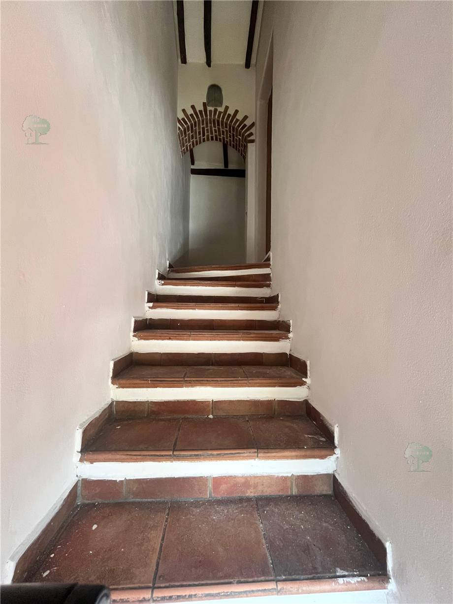 For sale Terratetto/Terracielo Montecatini-Terme  #324 n.9