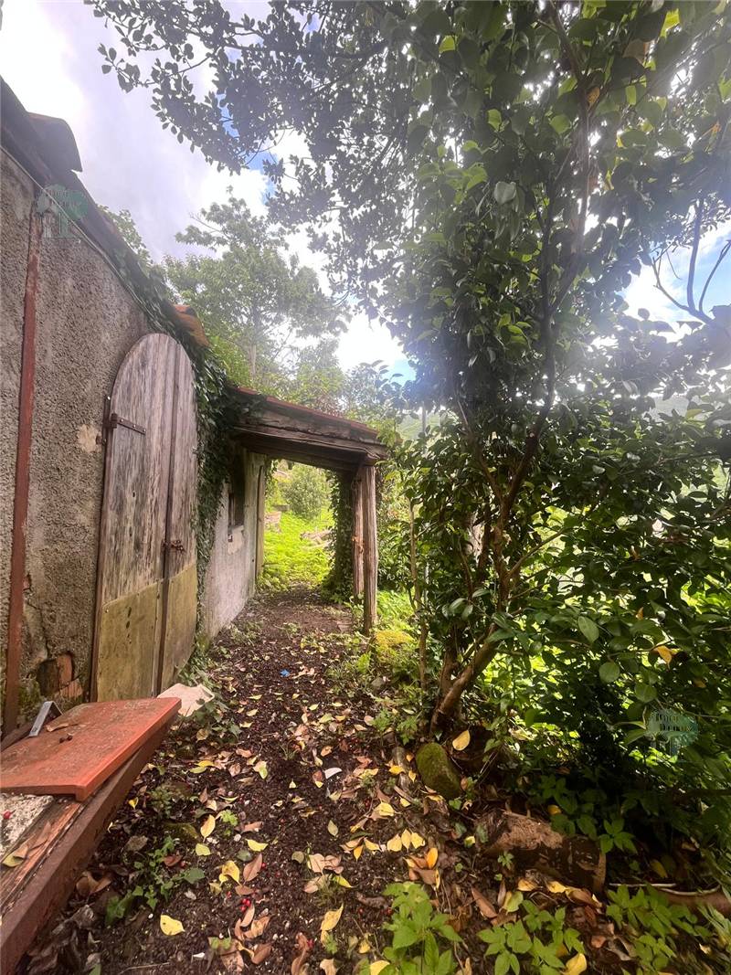 For sale Terratetto/Terracielo Pescaglia  #330 n.10