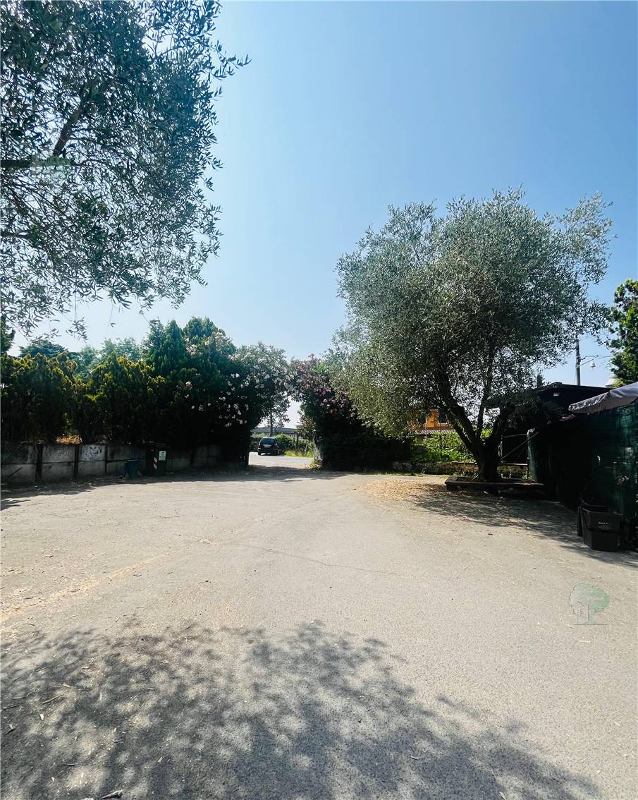 For sale Apartment Capannori  #333 n.10