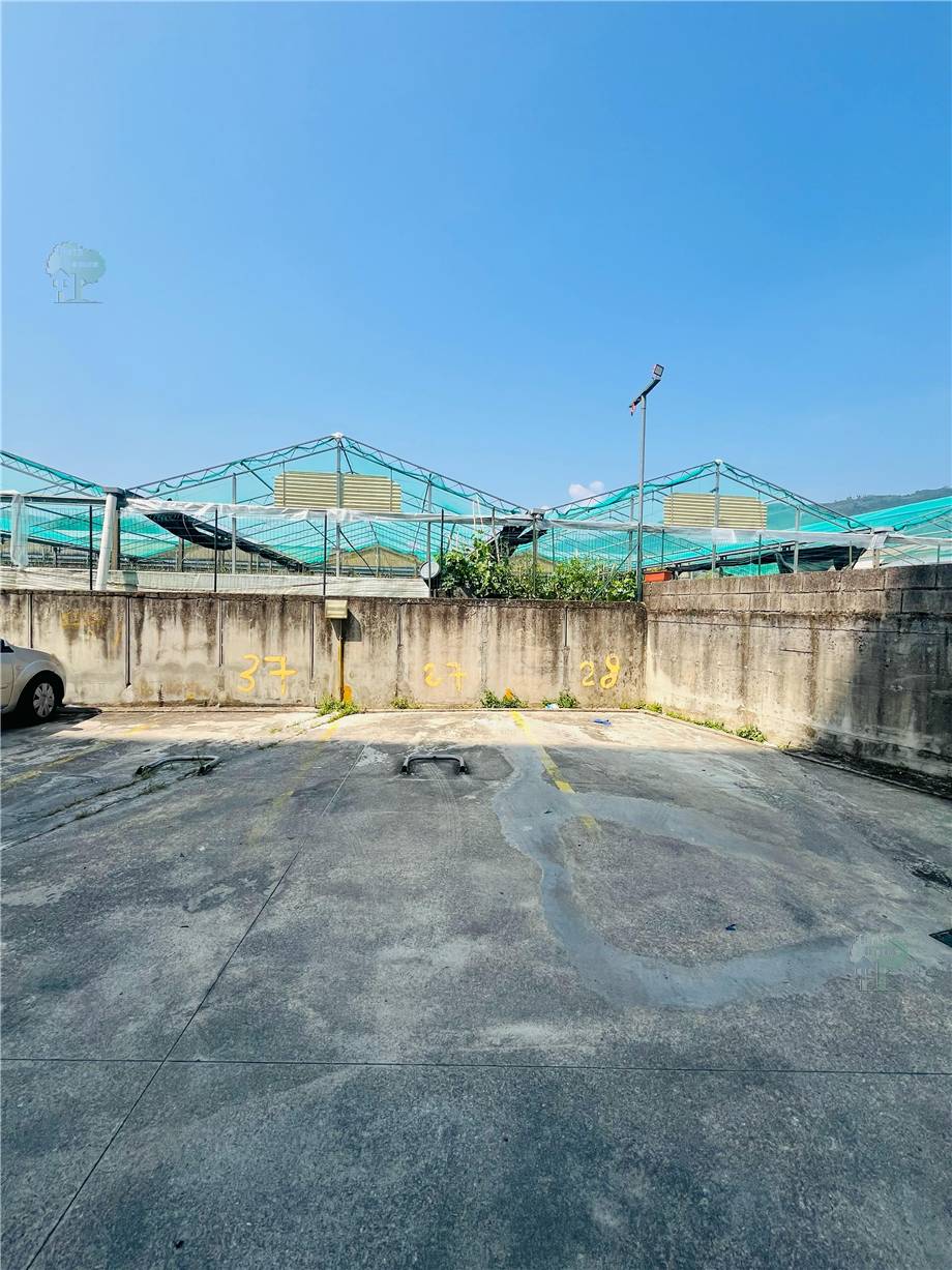 Venta Appartamento Pescia  #337 n.7