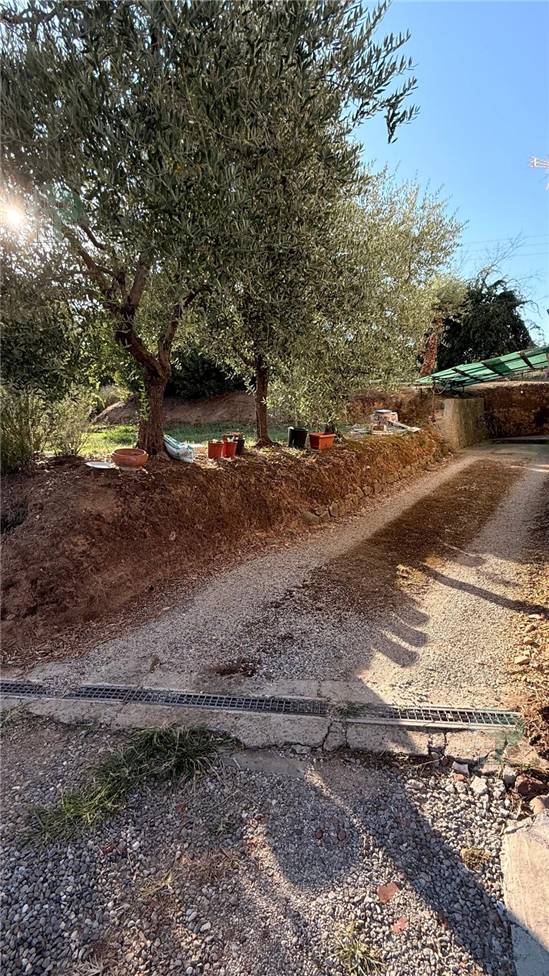 For sale Apartment Capannori  #342 n.10