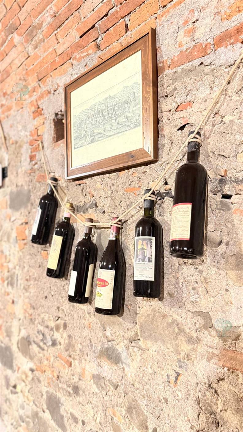 Alquiler Restaurante Capannori #344 n.7