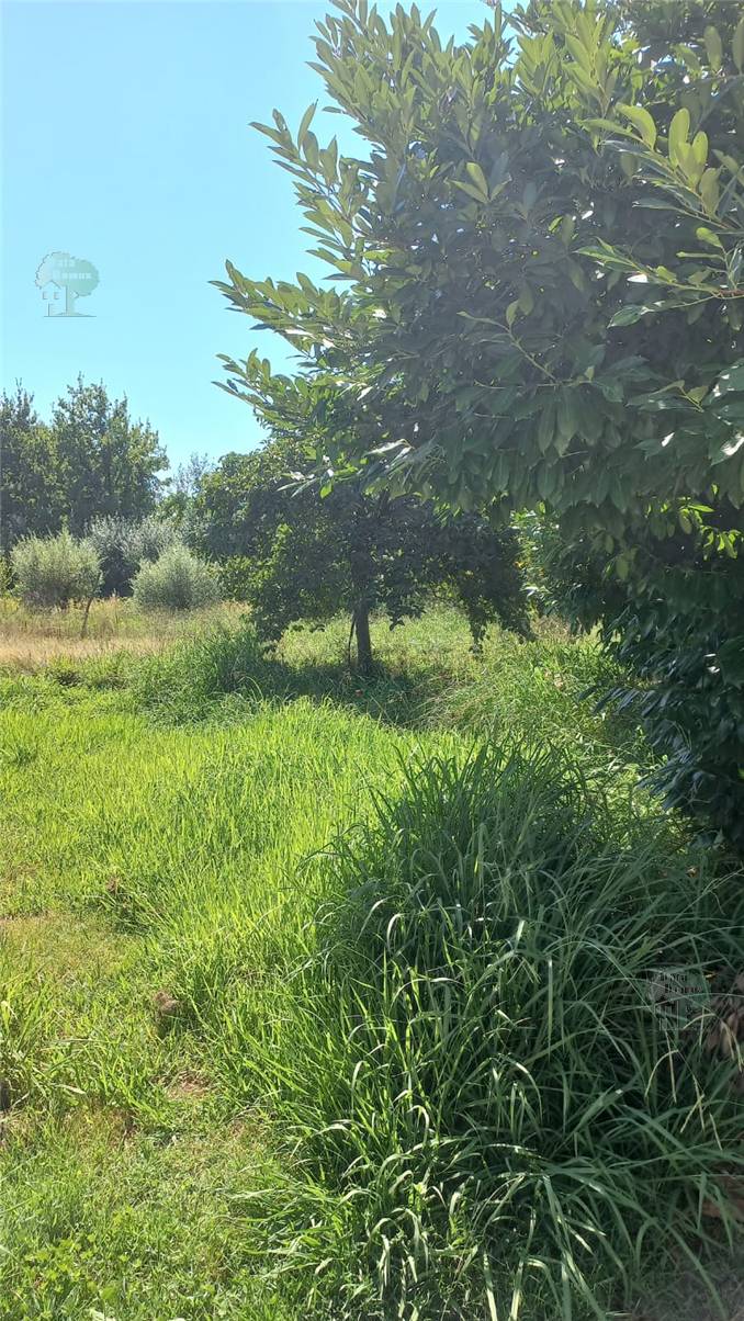 For sale Country house Capannori #351 n.6