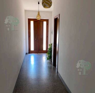 For sale Apartment Capannori  #357 n.10