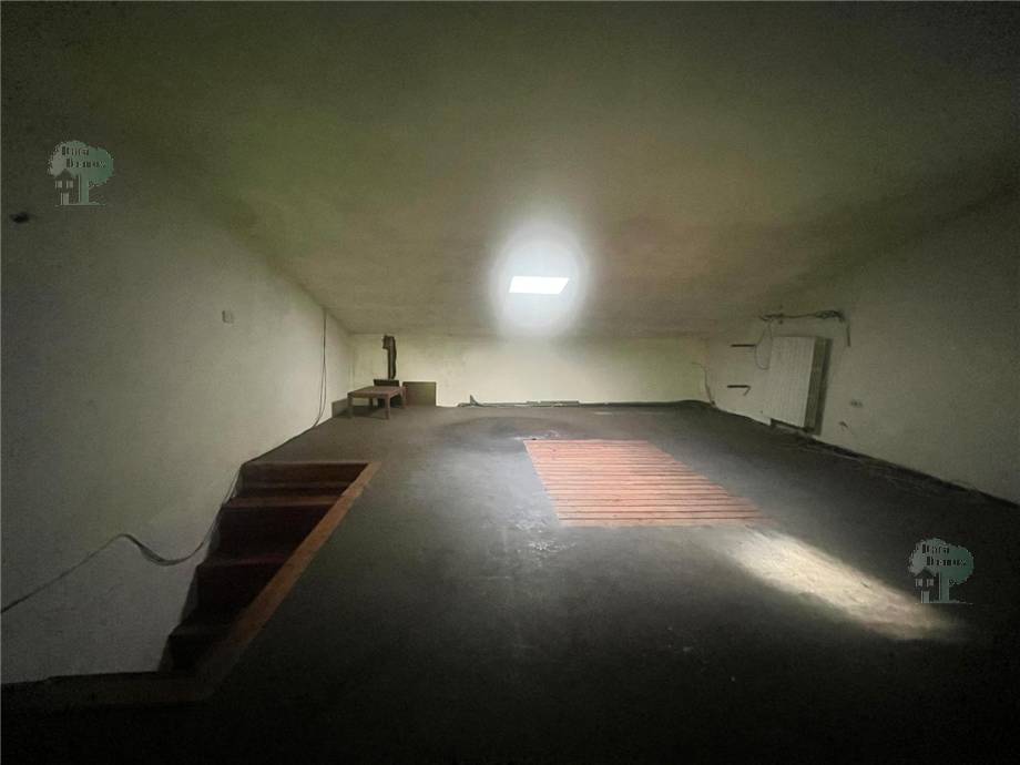 For sale Detached house Lucca Brancoli #361 n.6