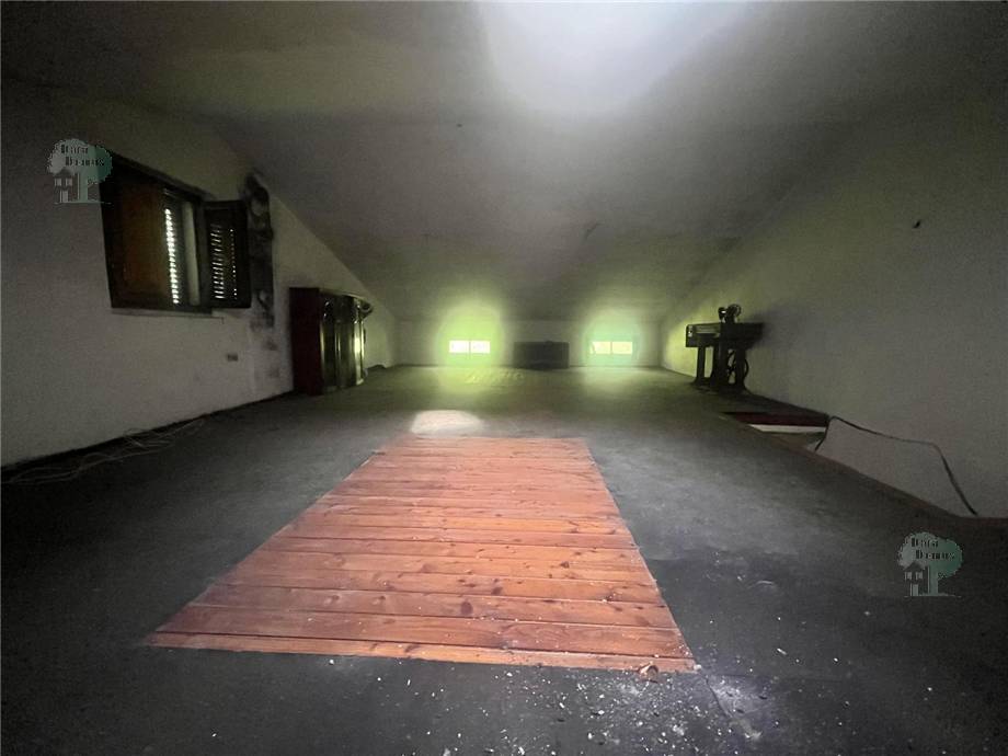 For sale Detached house Lucca Brancoli #361 n.7