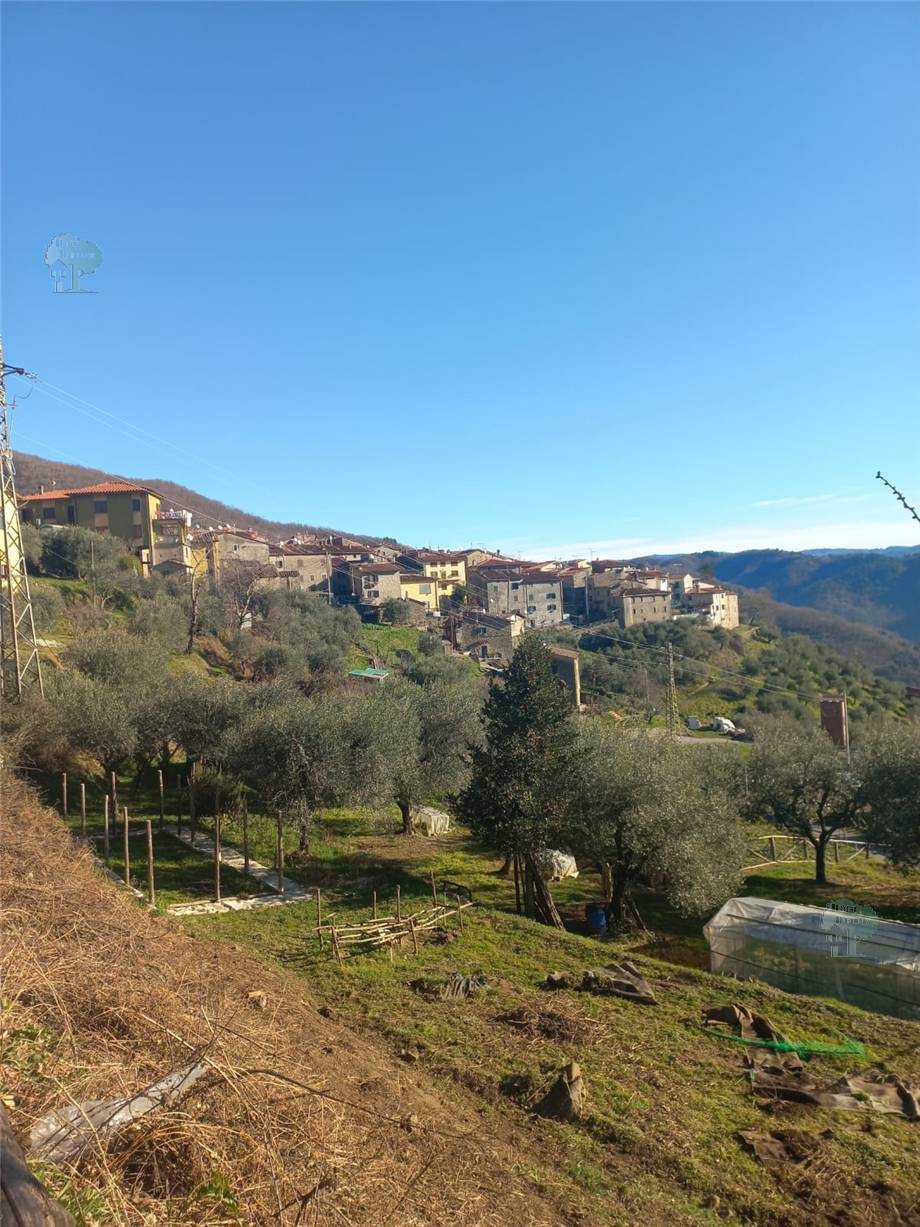 For sale Country house Villa Basilica Pariana #367 n.8