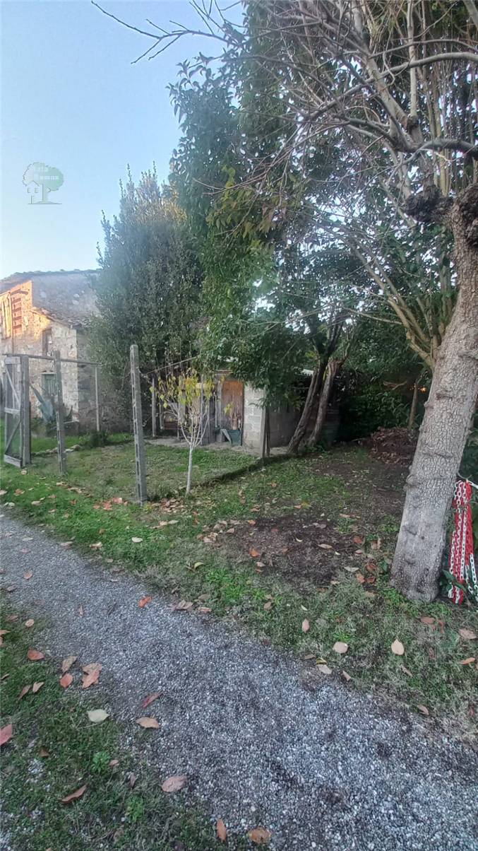 Vendita Rustico/Casa di campagna Capannori  #376 n.8