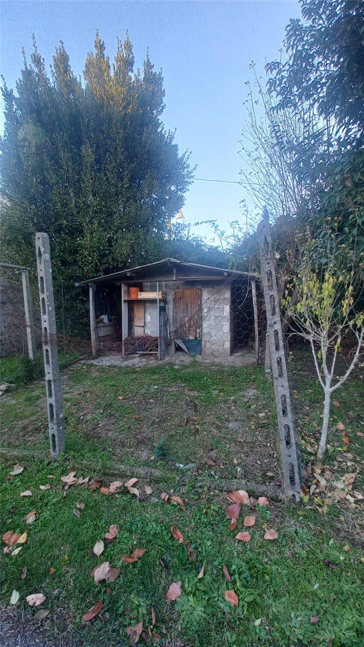 Vendita Rustico/Casa di campagna Capannori  #376 n.10