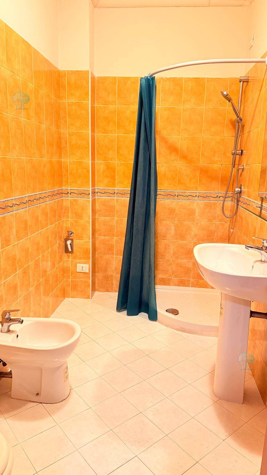 Vendita Appartamento Lucca San Cassiano a Vico #379 n.9