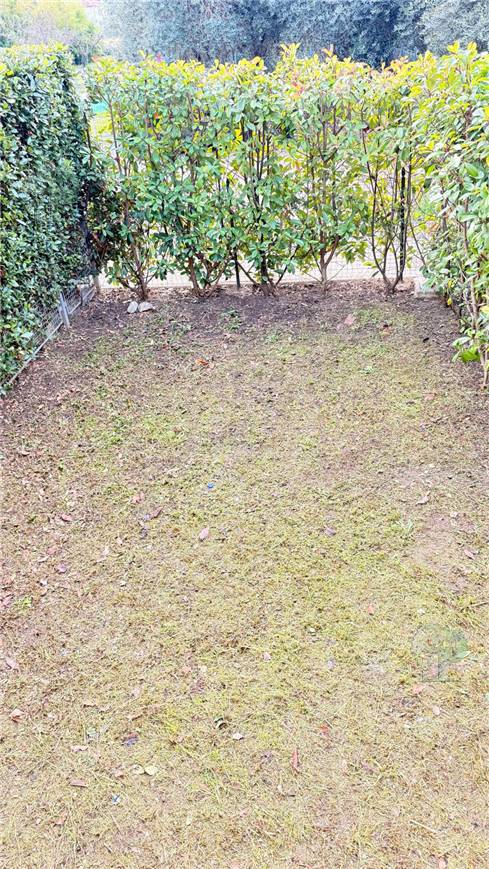 Vendita Appartamento Lucca San Cassiano a Vico #379 n.10