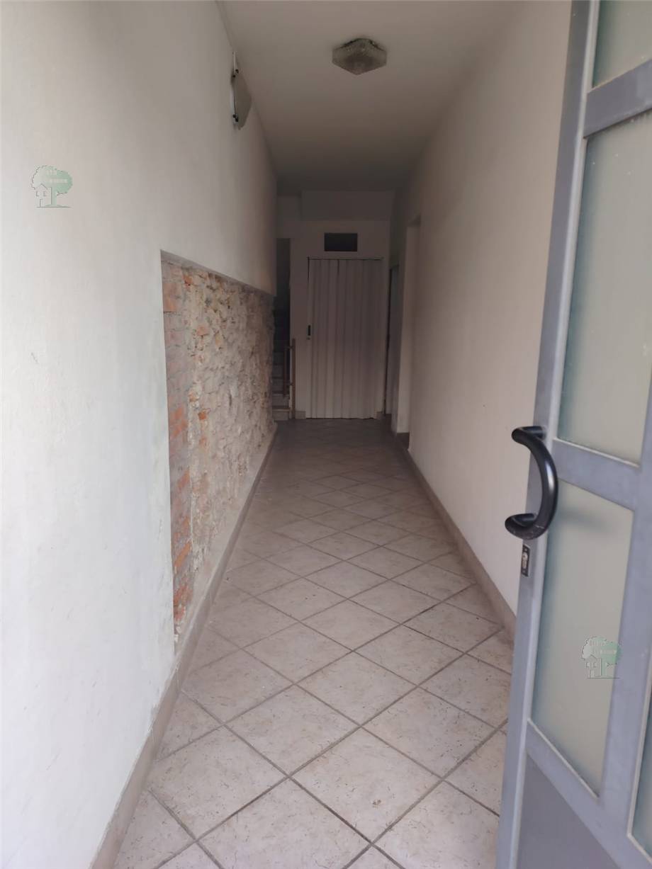 Vendita Appartamento Lucca San Lorenzo a Vaccoli #409 n.8