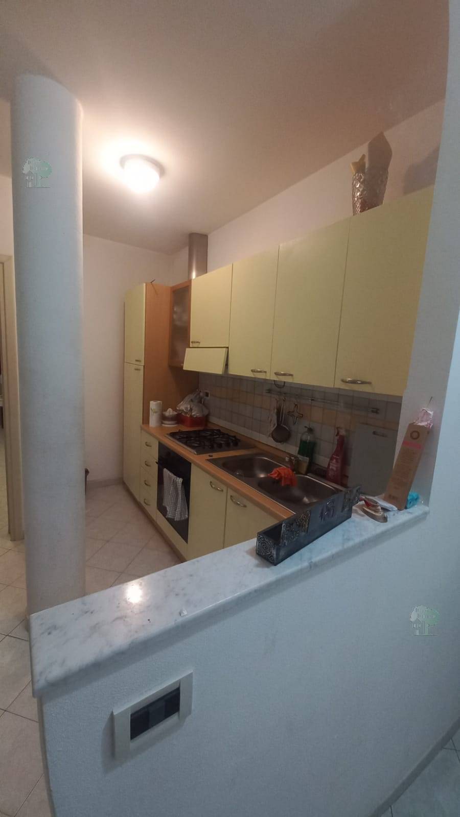 Vendita Appartamento Capannori  #412 n.6