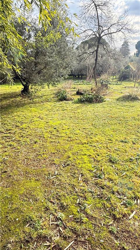 Vendita Villa indipendente Capannori  #414 n.8