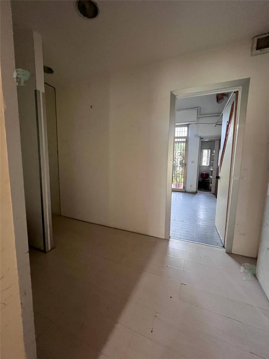Affitto Locale commerciale Capannori Zone #425 n.7