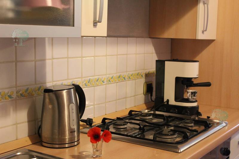Venta Terratetto/Terracielo Capannori Massa Macinaia #432 n.6