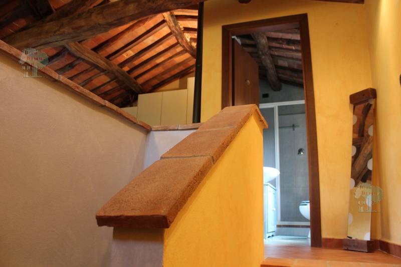 Venta Terratetto/Terracielo Capannori Massa Macinaia #432 n.8