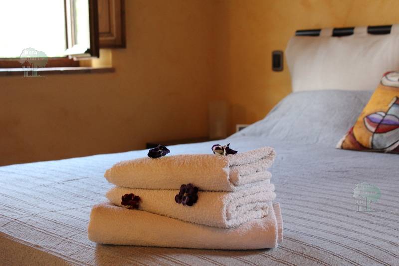 Vendita Terratetto/Terracielo Capannori Massa Macinaia #432 n.10