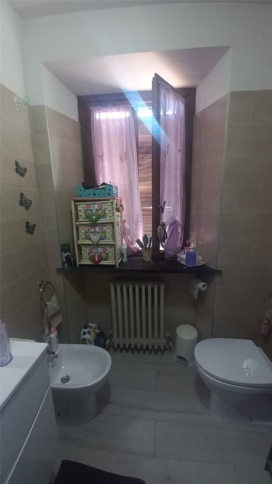 Vendita Terratetto/Terracielo Capannori  #433 n.8