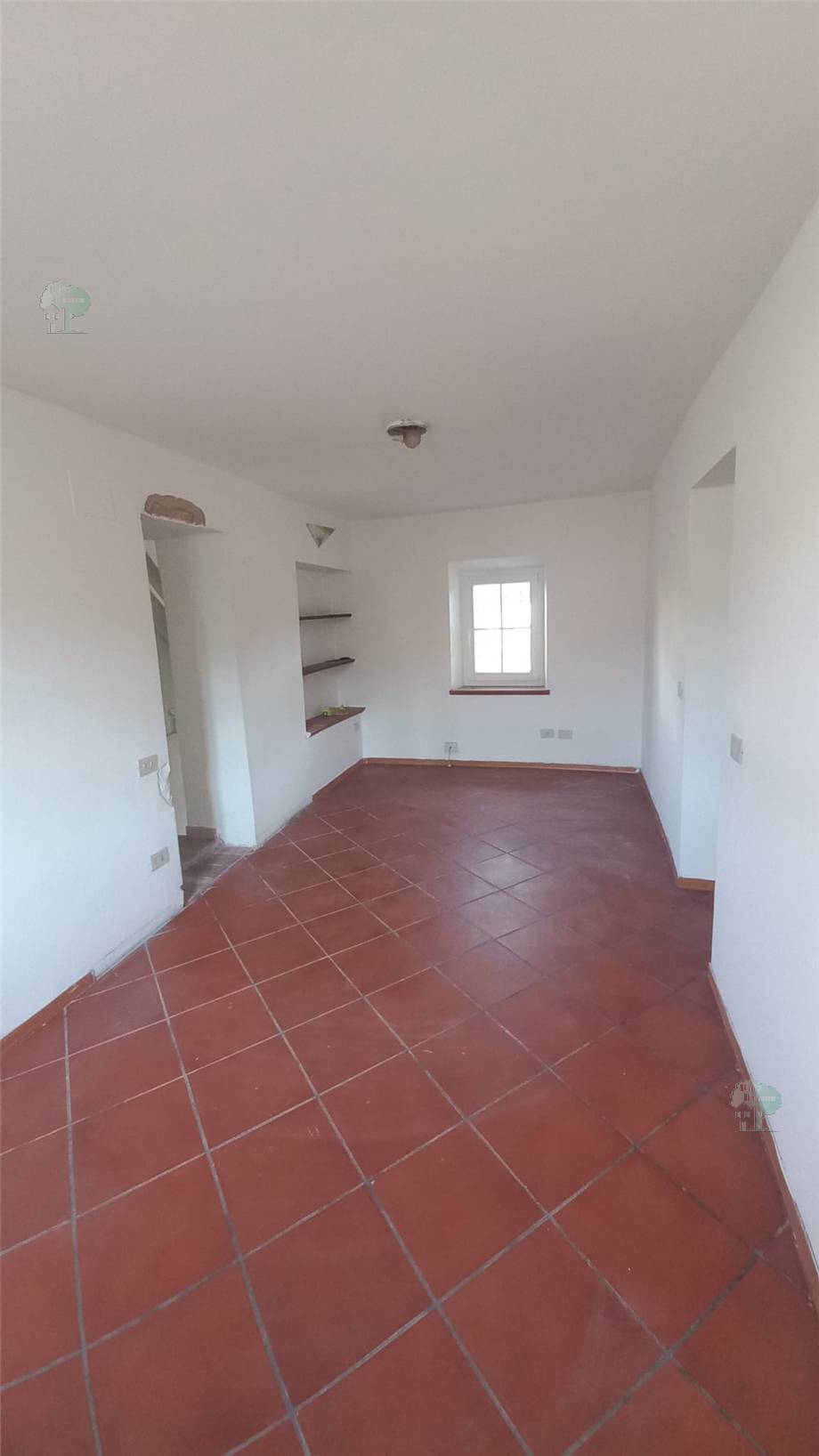 Vendita Terratetto/Terracielo Capannori  #434 n.6