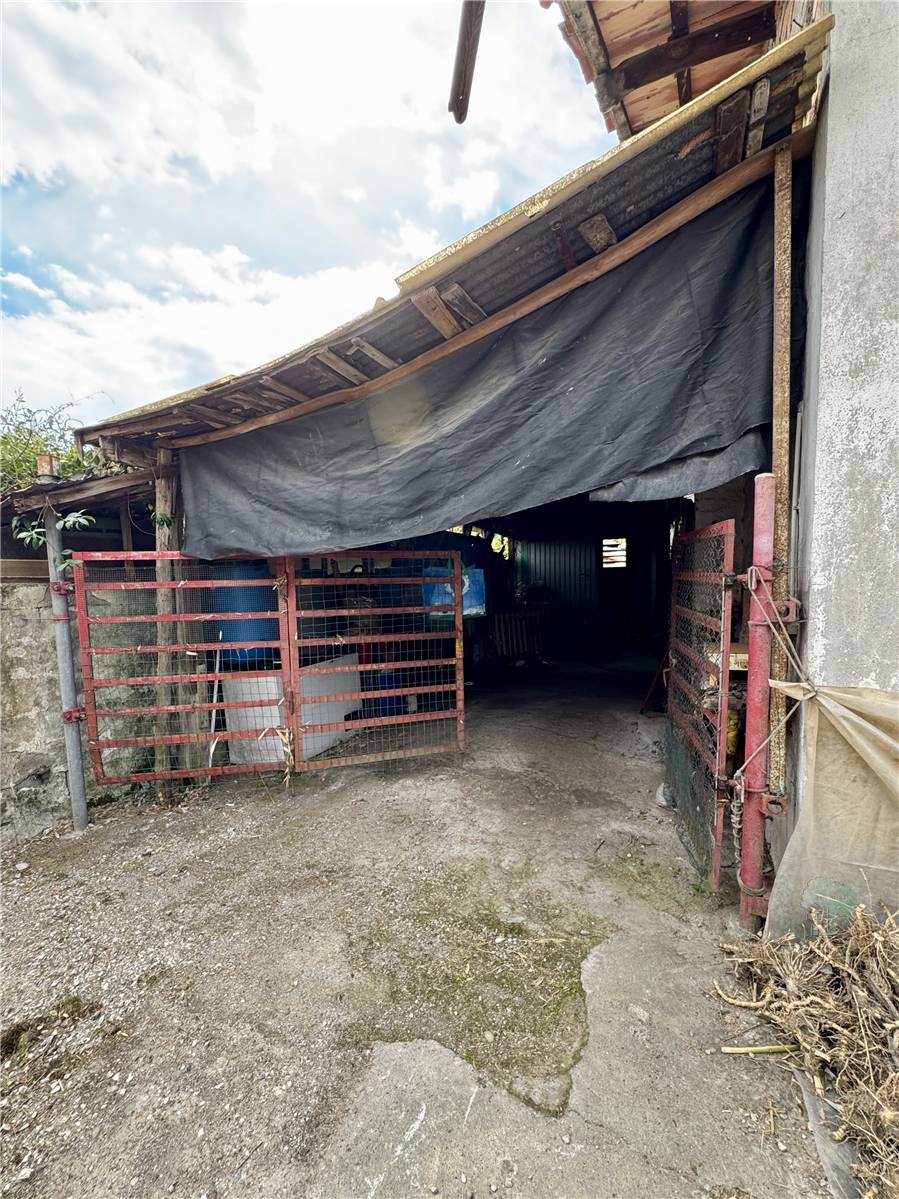 Vendita Rustico/Casa di campagna Capannori  #443 n.6