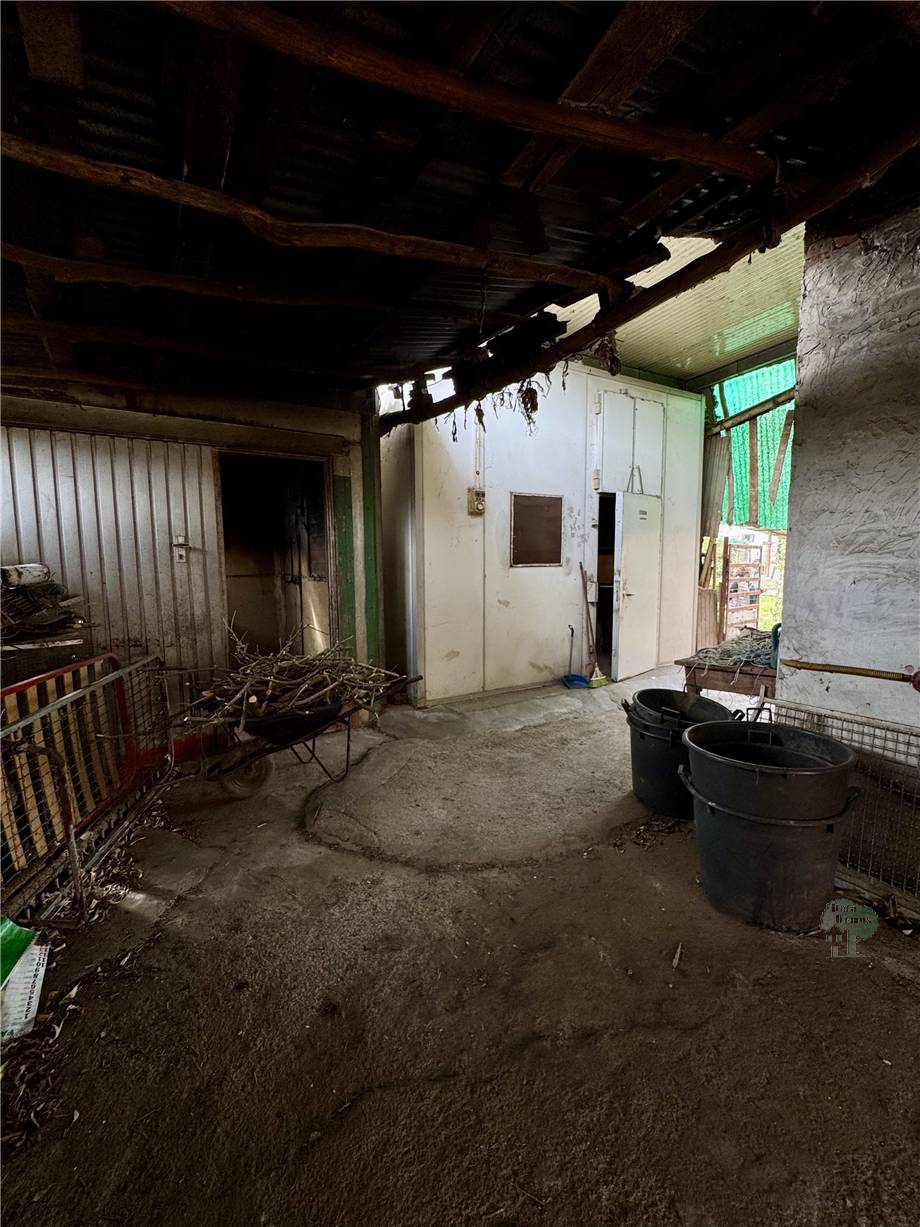 Vendita Rustico/Casa di campagna Capannori  #443 n.8