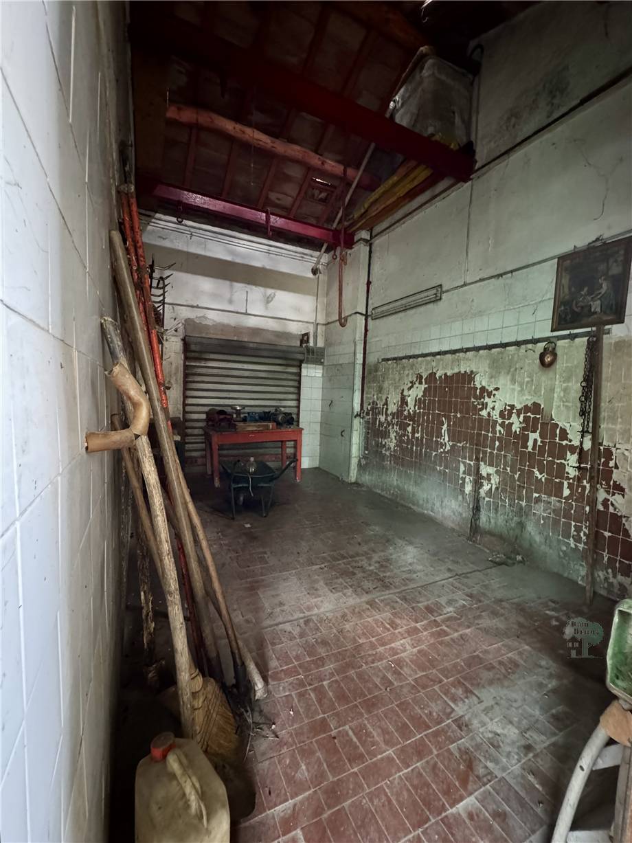 Vendita Rustico/Casa di campagna Capannori  #443 n.9