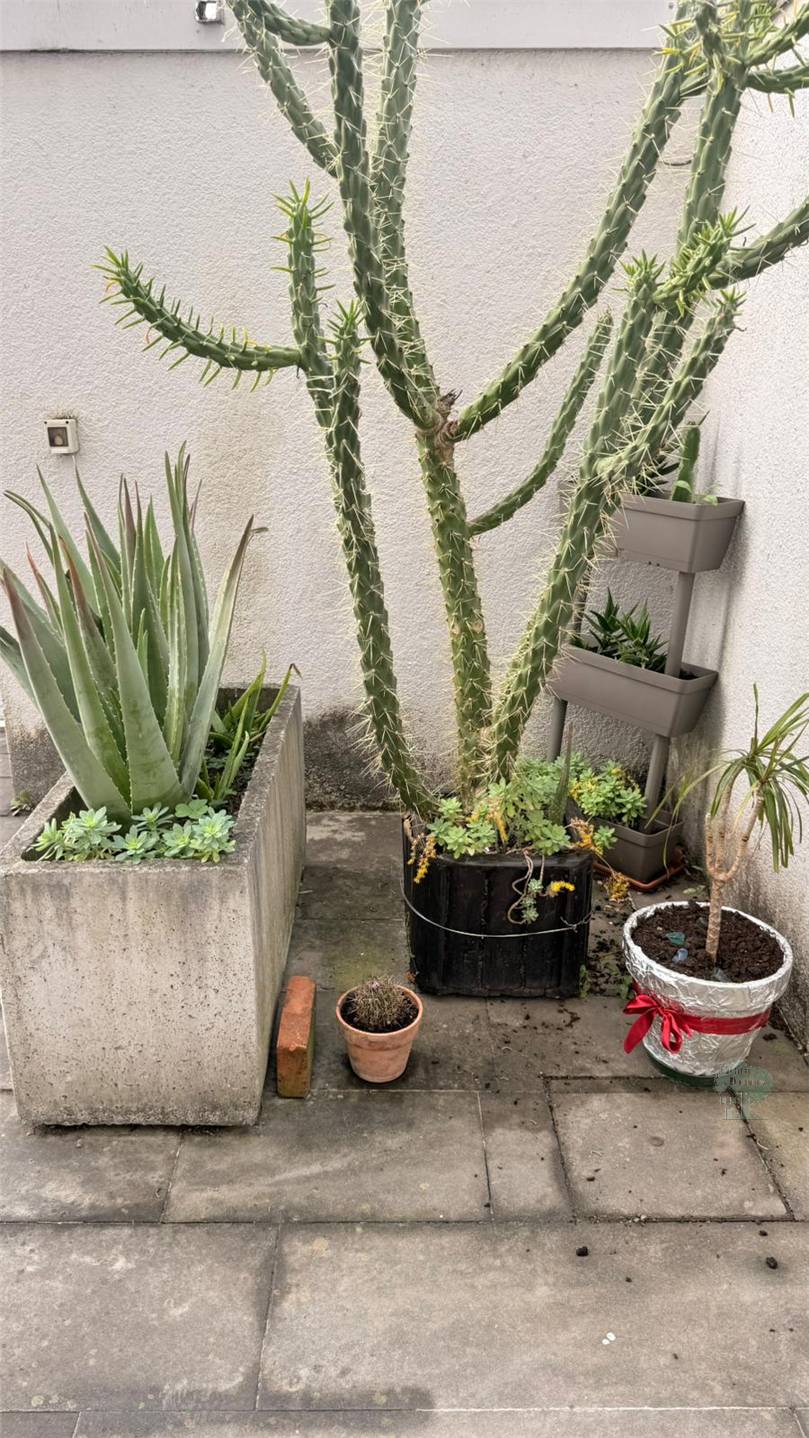 Vendita Appartamento Lucca  #452 n.10