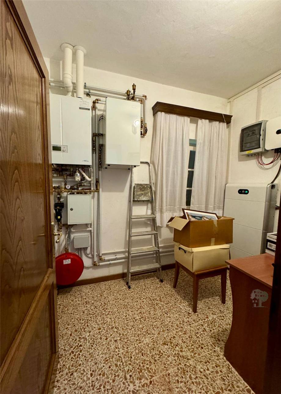 Affitto Appartamento Capannori #461 n.7