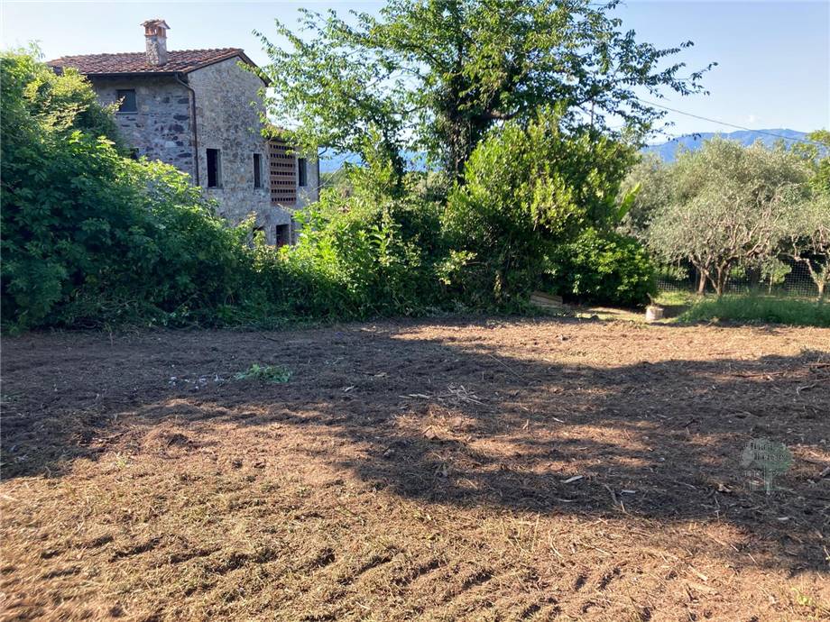 Vendita Terreno commerciale Capannori Massa Macinaia #466 n.6
