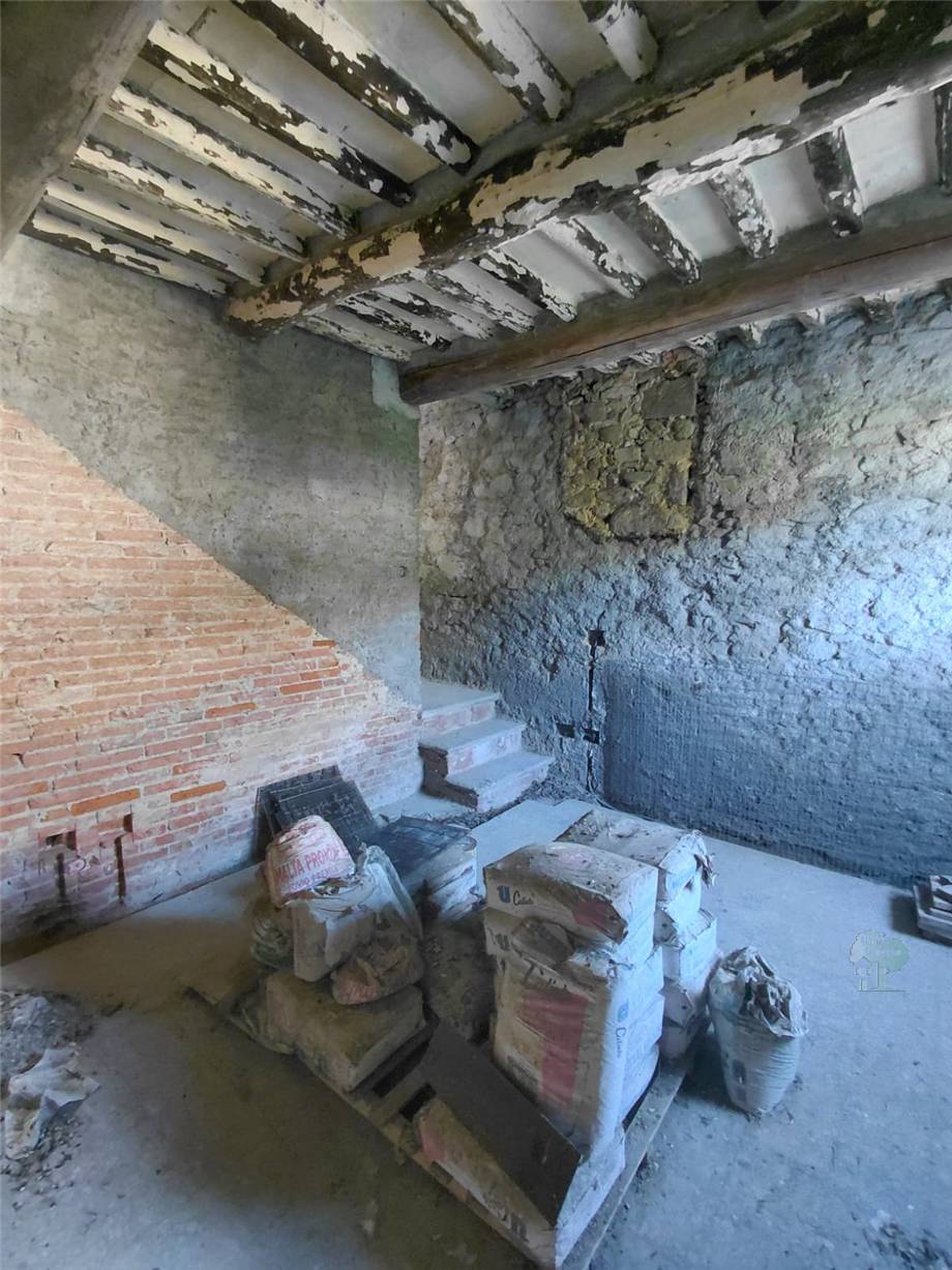 Venta Terratetto/Terracielo Capannori #470 n.6