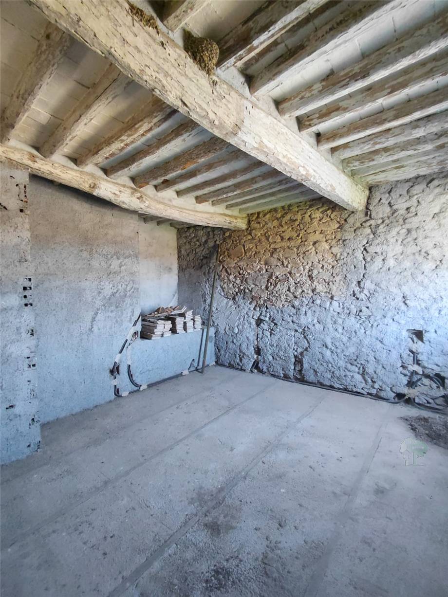 Venta Terratetto/Terracielo Capannori #470 n.8