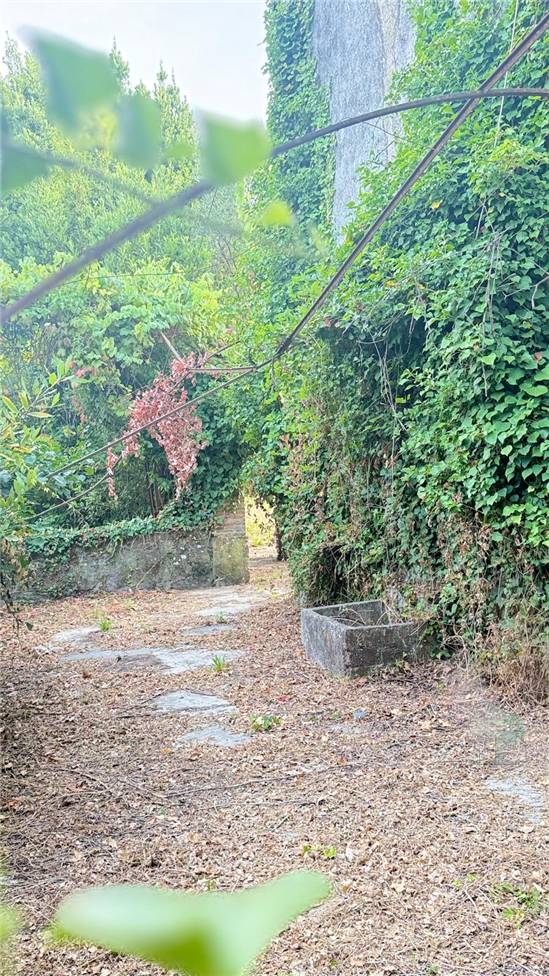 For sale Country house Capannori Verciano #482 n.7