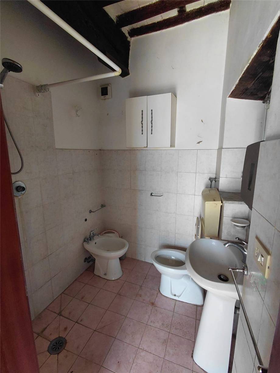 Venta Terratetto/Terracielo Capannori #489 n.8