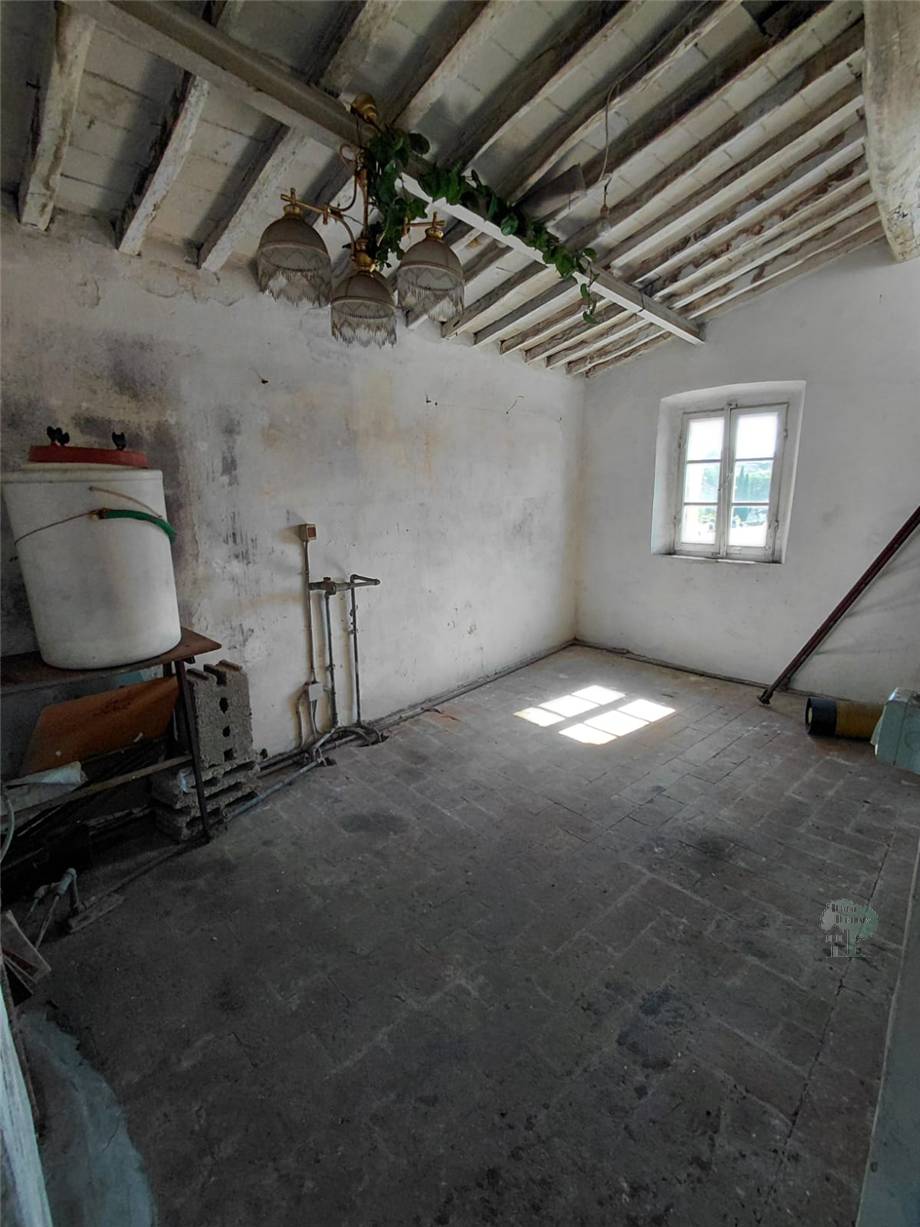 Venta Terratetto/Terracielo Capannori #489 n.9