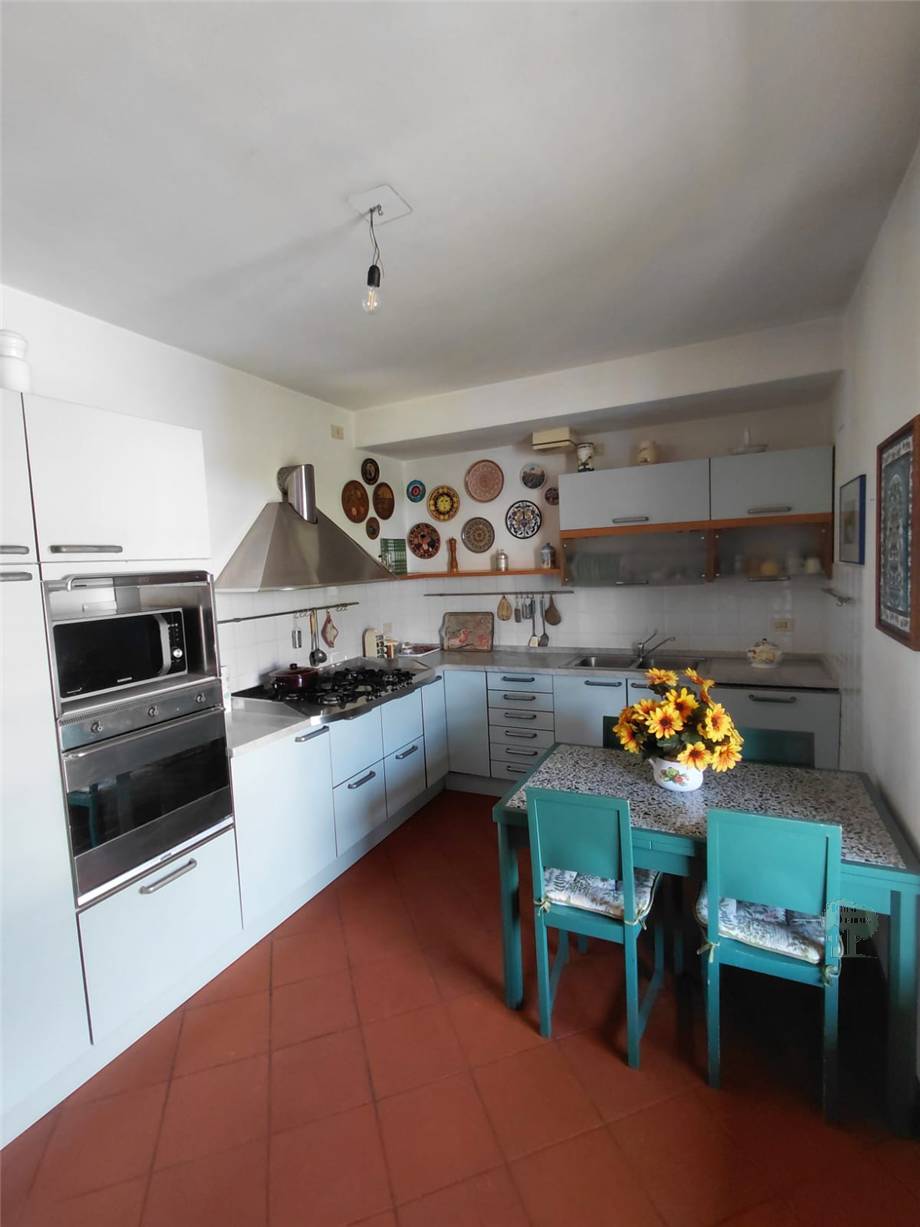 Venta Terratetto/Terracielo Lucca Santa Maria a Colle #491 n.8