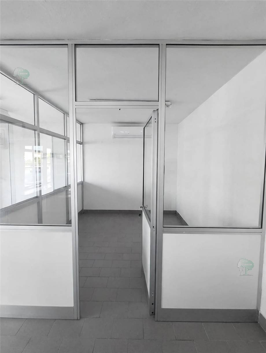 Affitto Locale commerciale Capannori  #517 n.6