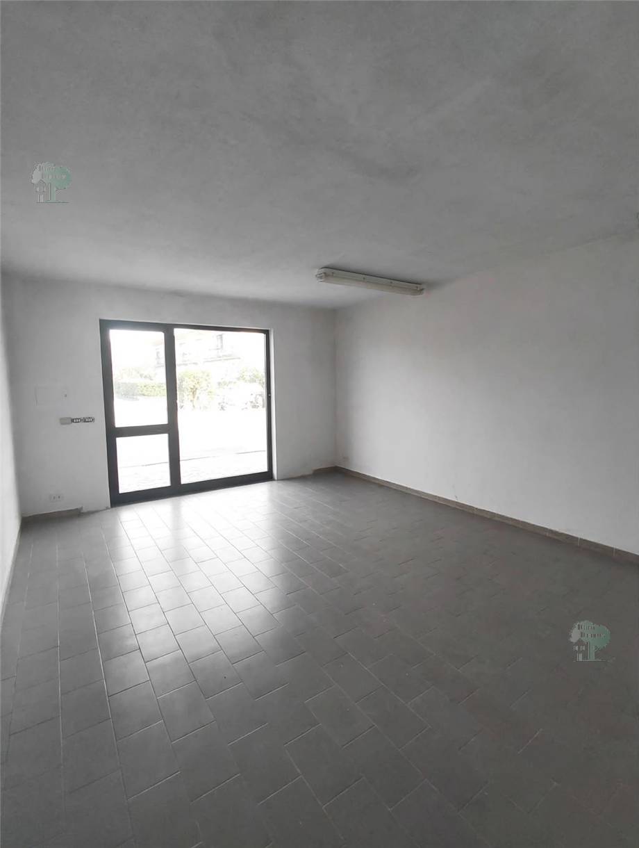 Affitto Locale commerciale Capannori  #517 n.7