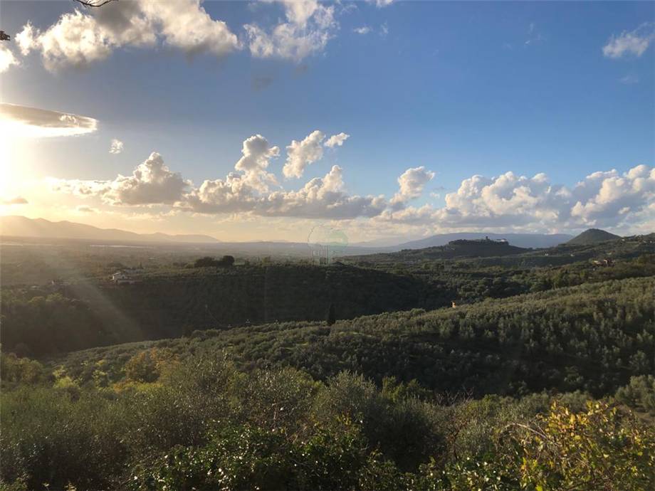 For sale Single-family Villa Larciano  #1002 n.8
